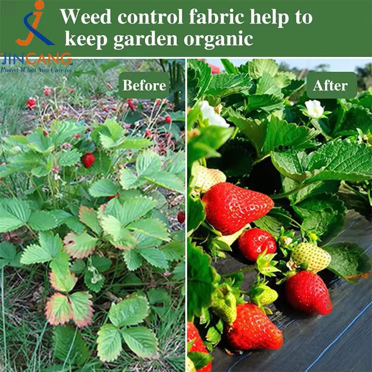 Gyomirtó szőnyeg szőnyeg