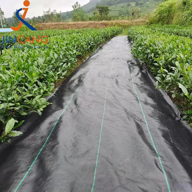 Gyomirtó szőnyeg szőnyeg