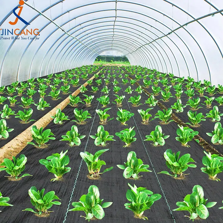 Gyomirtó szőnyeg szőnyeg