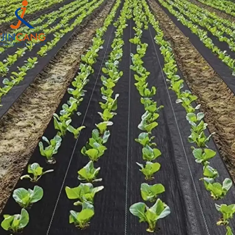 Tartós gyomnövény